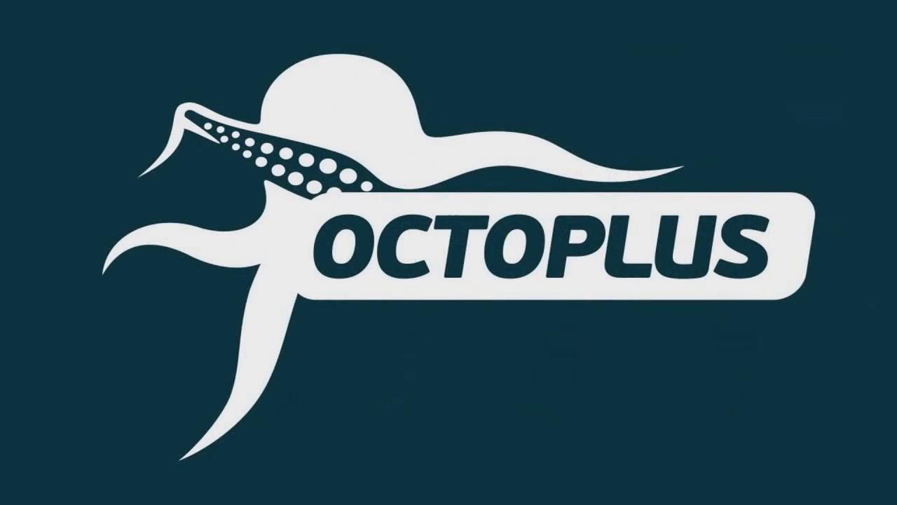 octoPlus Share 30 minuts Rental Service